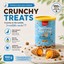 Petmetro Crunchy Biscuits Treat Pigeon & Egg Yolk Flavor 100G